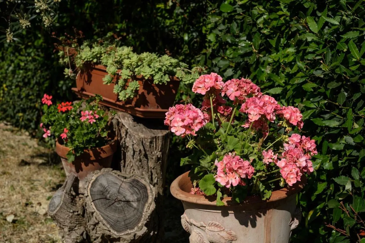 Holiday home Borgo Amarrante Villa Montaione Italy